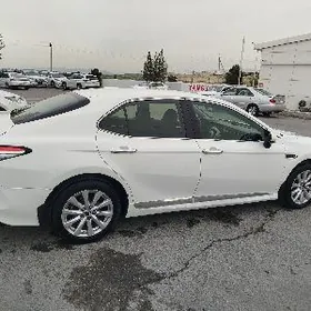 Toyota Camry 2019