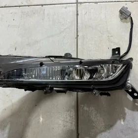 Tumanik RX 350 2020/2022