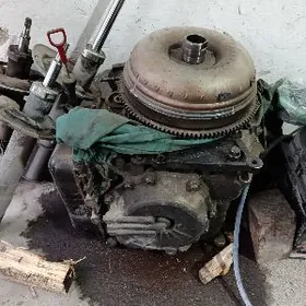 Hunday Sanata Karopkasy