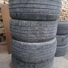 pakryska hankok 18 lik