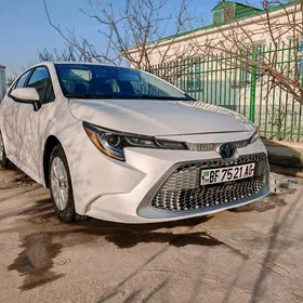 Toyota Corolla 2022