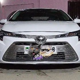 Toyota Corolla 2023