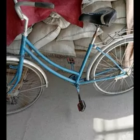 ой хайванлары