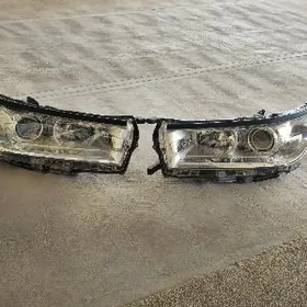 Haylandr arginal faralar