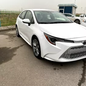 Toyota Corolla 2021