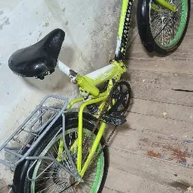 welsepet tigir kama welik