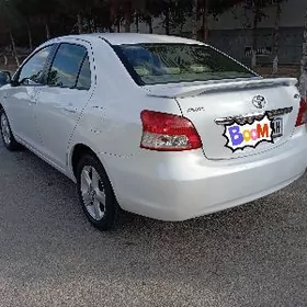 sürüji, safyor, waditel, водит