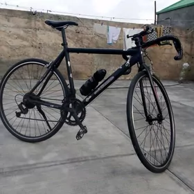 Спартивни шасейни