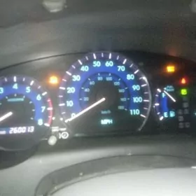 sienna yanyan pribor 2004 2009