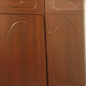 kamot kovus salynyan