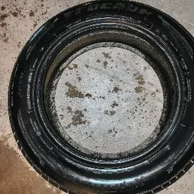 teker hayladr 19 lik