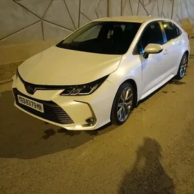 Toyota Corolla 2021