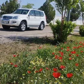 Toyota Land Cruiser Prado 2006