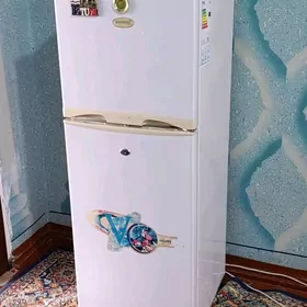 Arassaja kici holodilnik