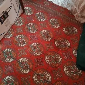 Халы 2 на 3 голли