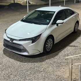 Toyota Corolla 2020
