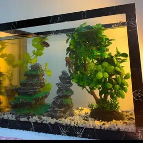 Akwarium/аквариум