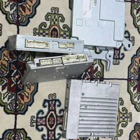 Usulitel 22 JBL Kemri leksus