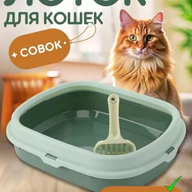 Лоток для кошек