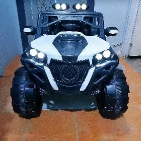 Elektrik çaga maşyn ussa