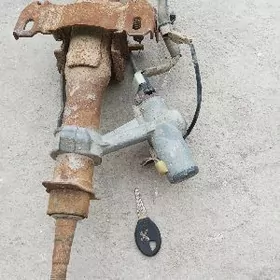 zawok žažganiya acary bilen