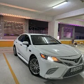 Toyota Camry 2020