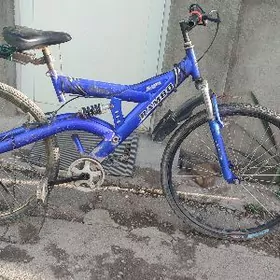 tigir zapcas 26lyk uly welik