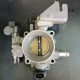 Inźektir karolla haliji 2006