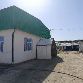 yaslyk 38 jay baha 36