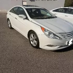 Hyundai Sonata 2010