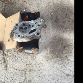 Malso nasos 2lik mar