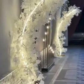 Toy bezeg Howly ucin