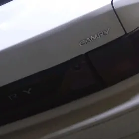 samsyk kemry stopnikler