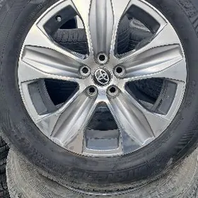 haylander disga pakyrisga argi