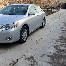 Toyota Camry 2009