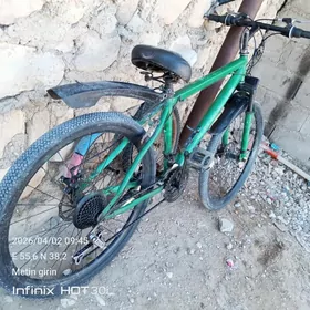 TURKMENİSTAN TİGİR