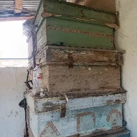 Ящики Пчела водные