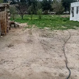 Гыпжак 8-сотак ер.