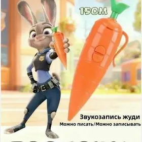 Käşir ruçka- zapis edýan