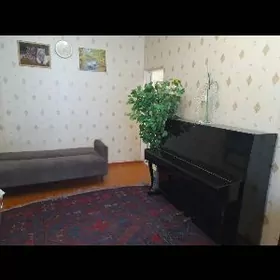 квартира в аренду