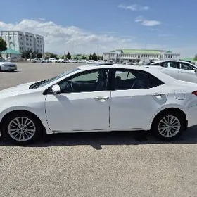 Toyota Corolla 2016