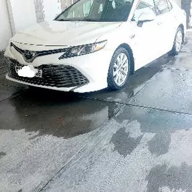 Toyota Camry 2020
