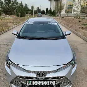 Toyota Corolla 2023