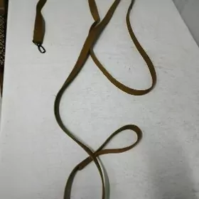 повод собачий