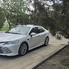 Toyota Camry 2019