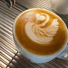 ofisant/Официант