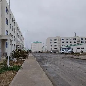 Anew pol elitga gerek