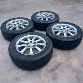 16lyk arginal lexsus disga tek