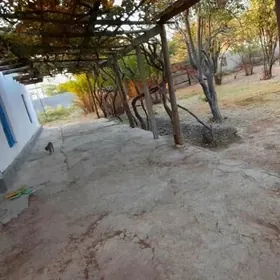 Gowsut stansiya garry plan jay