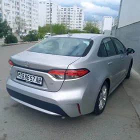 Toyota Corolla 2021